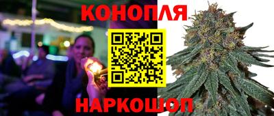 эйфоретик Малгобек