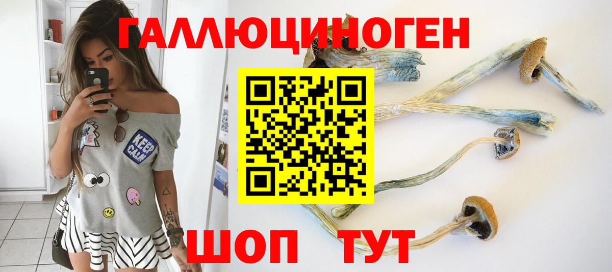Галлюциногенные грибы Magic Shrooms Фролово